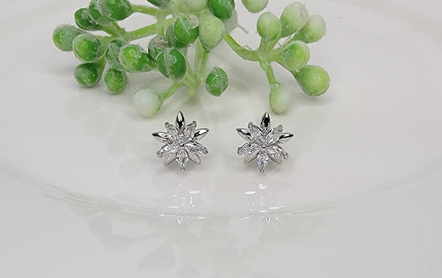 CZ Double Star Post Earrings
