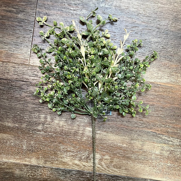 Mini Boxwood/Tea Leaf Pick