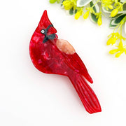 Charming Bird-Inspired Hair Claw Clip Collection