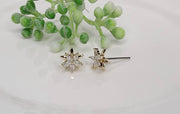 CZ Double Star Post Earrings