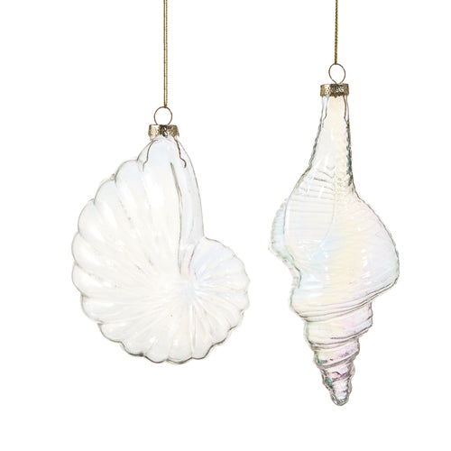 Iridescent Seashell Ornaments, 2 Styles