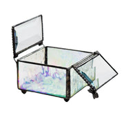Clear Double Hinged Glass Jewelry Box