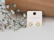 Tiny Dolphin Post Earring