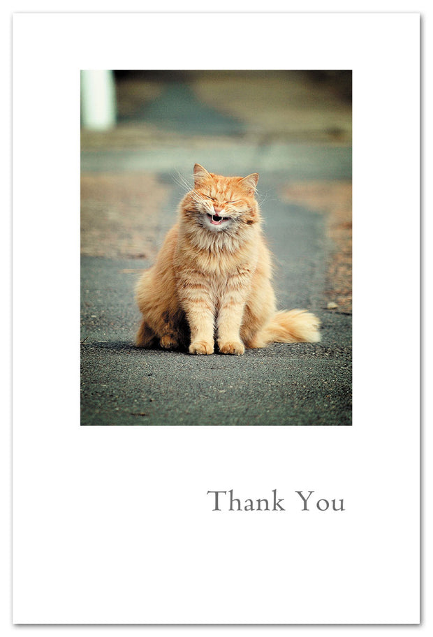 Smiling Cat Thank You Card