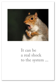 Scared Squirrel Birthday Card