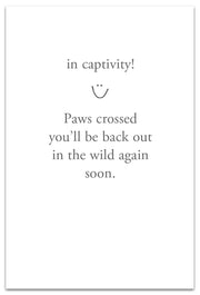 Snarly Polar Bear Feel Better Card