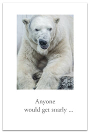 Snarly Polar Bear Feel Better Card
