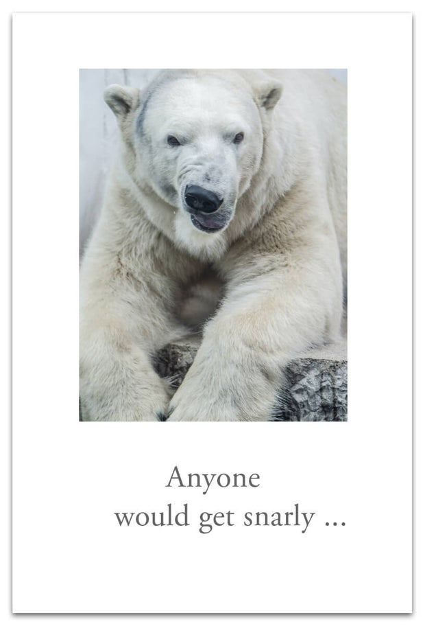 Snarly Polar Bear Feel Better Card