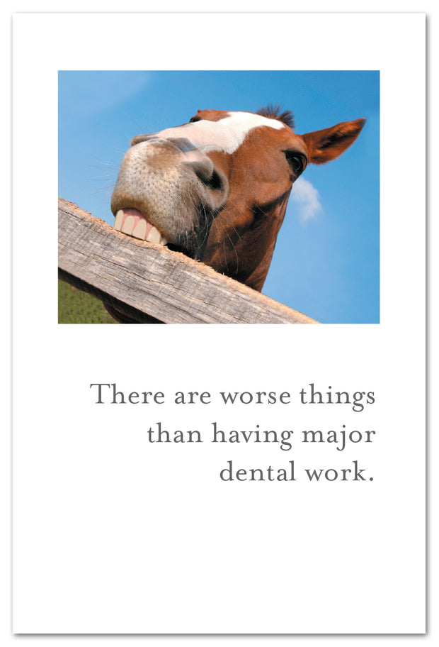 Horse Chewing Fence Feel Better Card