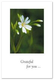 White Flower on Green Friendship Card