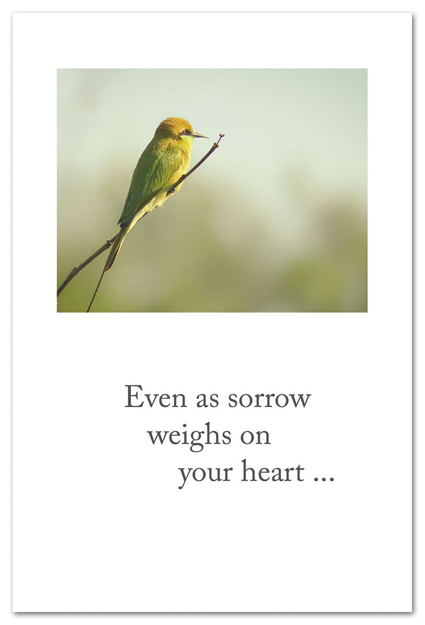 Pensive Bee-eater Condolence Card