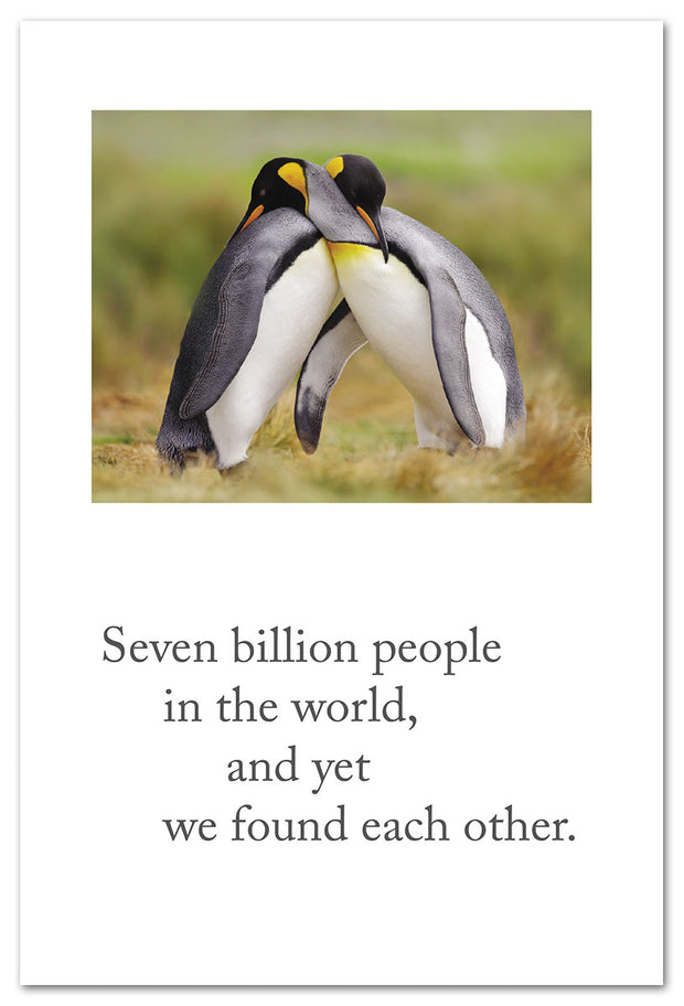 Penguin Couple Anniversary Card