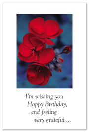 Red Geraniums Birthday Card