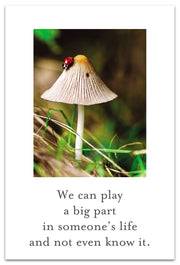 Lady Bug Mushroom Thank You Card