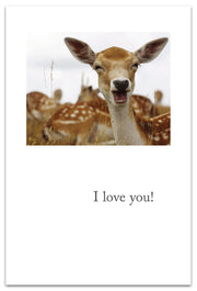 Smiling Fallow Deer Birthday Card