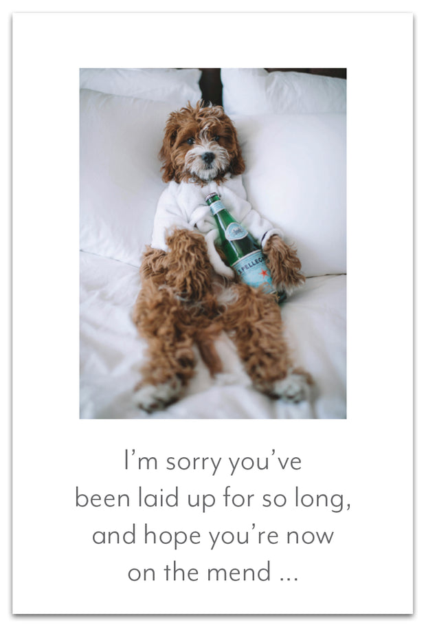 Resting Water Dog Card Feel Better Card
