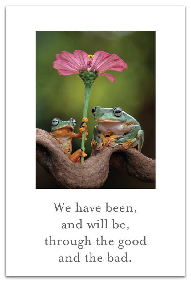 Wallace's Flying Frogs Friendship Card
