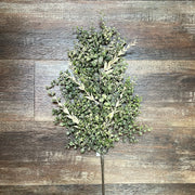 Mini Boxwood/Tea Leaf Pick