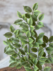 18" Hillhock Leaves Spray