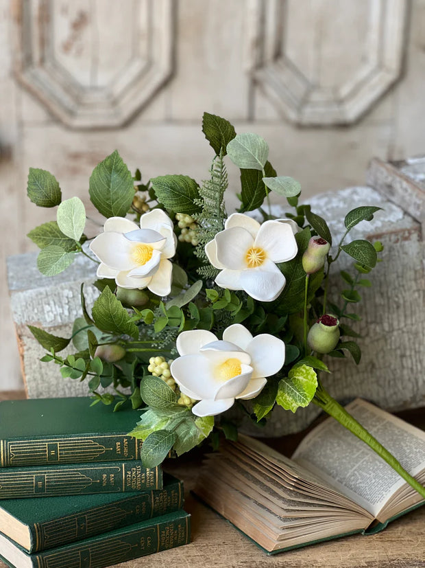 20" Astaire Magnolia Bush