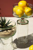 Glass Compote with Bases, 2 Sizes
