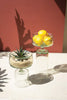 Glass Compote with Bases, 2 Sizes
