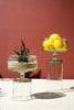 Glass Compote with Bases, 2 Sizes