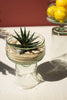 Glass Compote with Bases, 2 Sizes