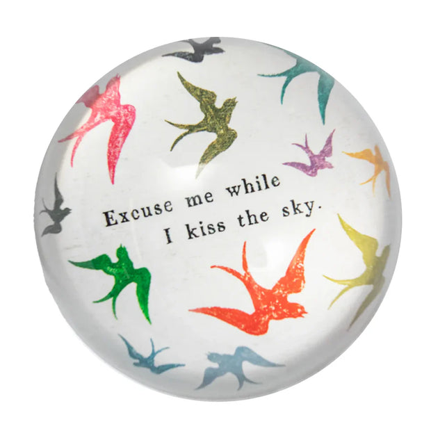 Excuse Me While I Kiss the Sky Paperweight