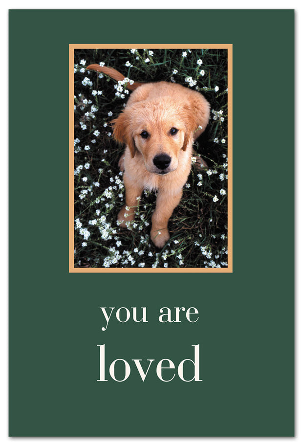 You Are Loved Friendship Card