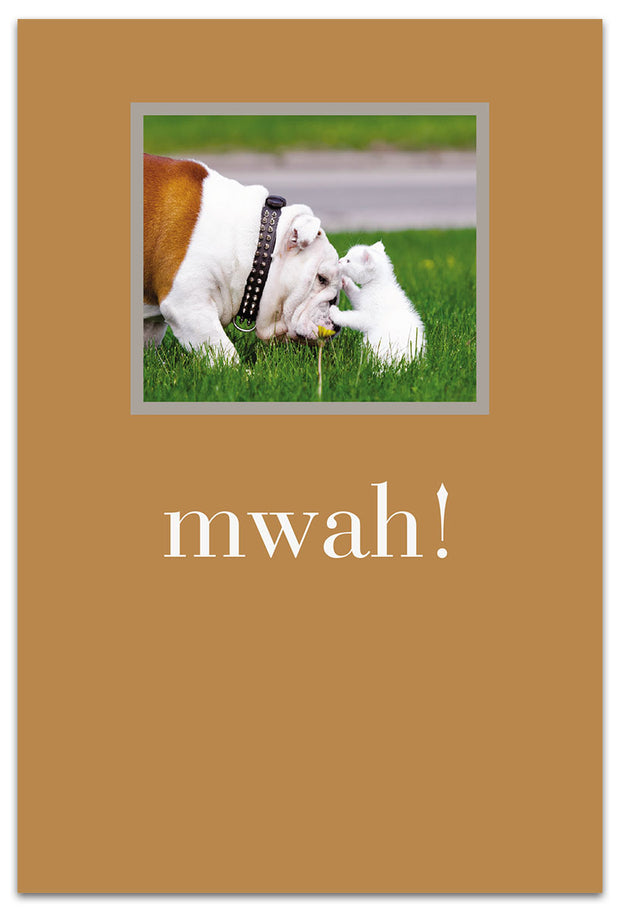 Kitty Kisses English Bulldog Thank You Card