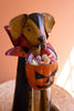 Metal Halloween Cat or Dog