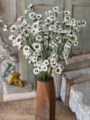 30" Fairchild Daisy Bundle