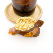 Turtle Claw Clip, Large & Mini Hair Clip