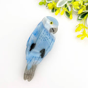 Charming Bird-Inspired Hair Claw Clip Collection