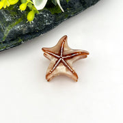 Starfish Hair Clip