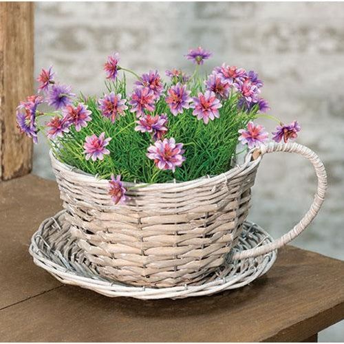 wicker cup and saucer planter Gray Willow Cup & Saucer