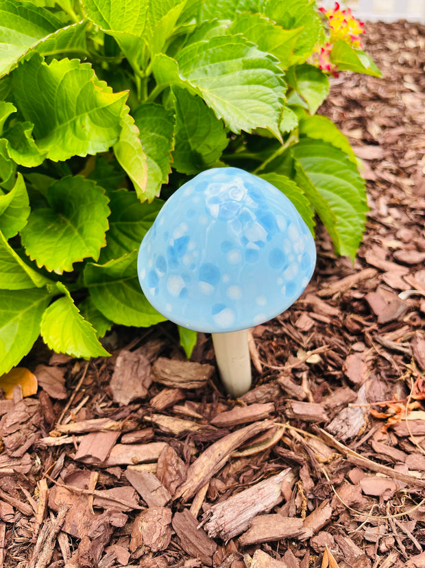 Aqua/White Confettir