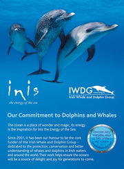 Inis Energy of the Sea cologne spray bottle—made in Ireland, ocean-inspired unisex fragrance in frosted glass packaging.