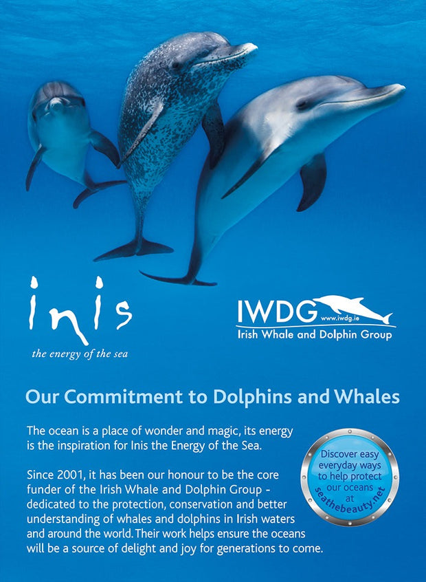 Inis Energy of the Sea cologne spray bottle—made in Ireland, ocean-inspired unisex fragrance in frosted glass packaging.