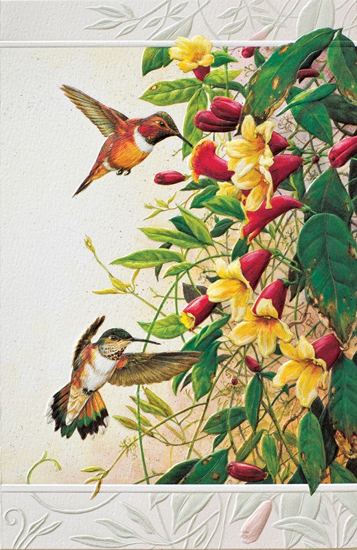 Rufous Hummingbirds Birthday Greeting Card