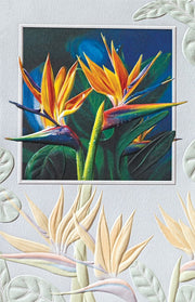 Birds of Paradise Greeting Card