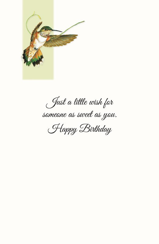 Rufous Hummingbirds Birthday Greeting Card