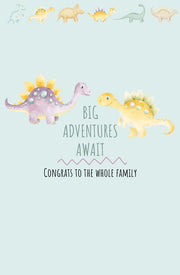 Kid Dinosaur New Baby Greeting Card