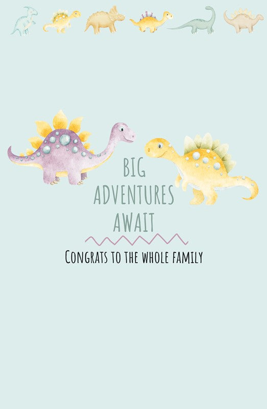 Kid Dinosaur New Baby Greeting Card