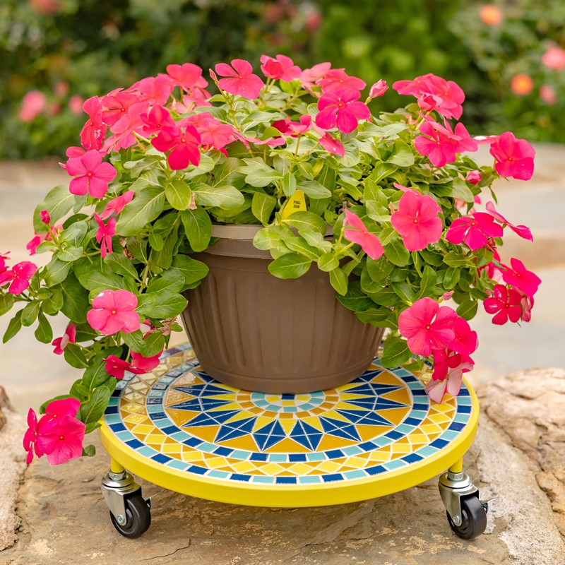 pot plant trolley 13.8" Plant Trolley Astana