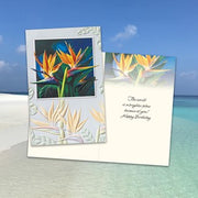 Birds of Paradise Greeting Card