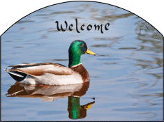 Mallard Duck Welcome Garden Sign, Heritage Gallery